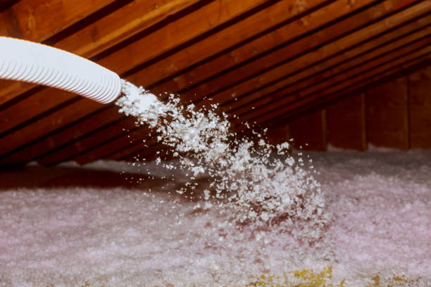 Best Insulation Installation Services in Mccaysville, GA