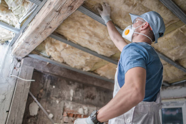 Best Insulation Maintenance and Repair in Mccaysville, GA